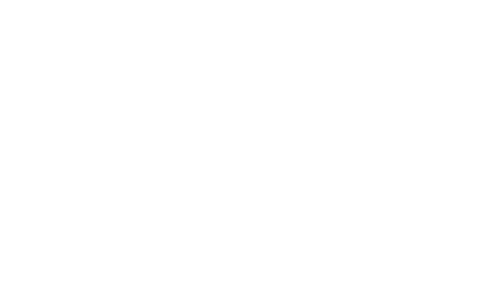 déclinaison logo restaurant indien orléans